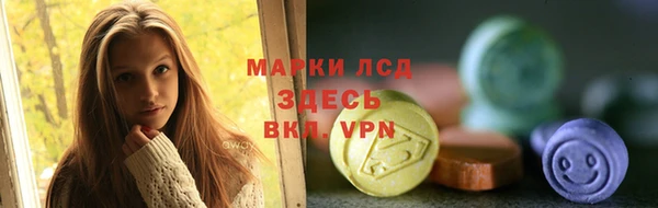 прущие грибы Горнозаводск