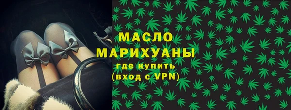 ешки Горняк