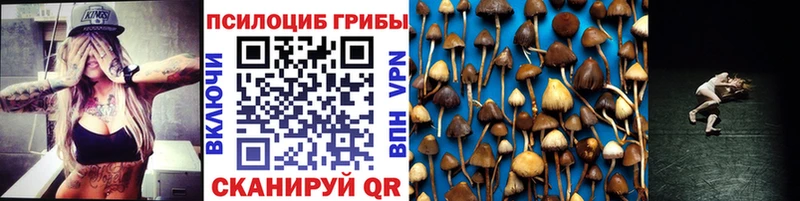 Галлюциногенные грибы Magic Shrooms Заволжье