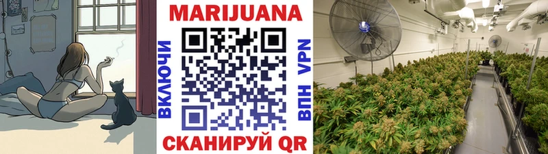 Бошки марихуана семена  закладки  Заволжье 
